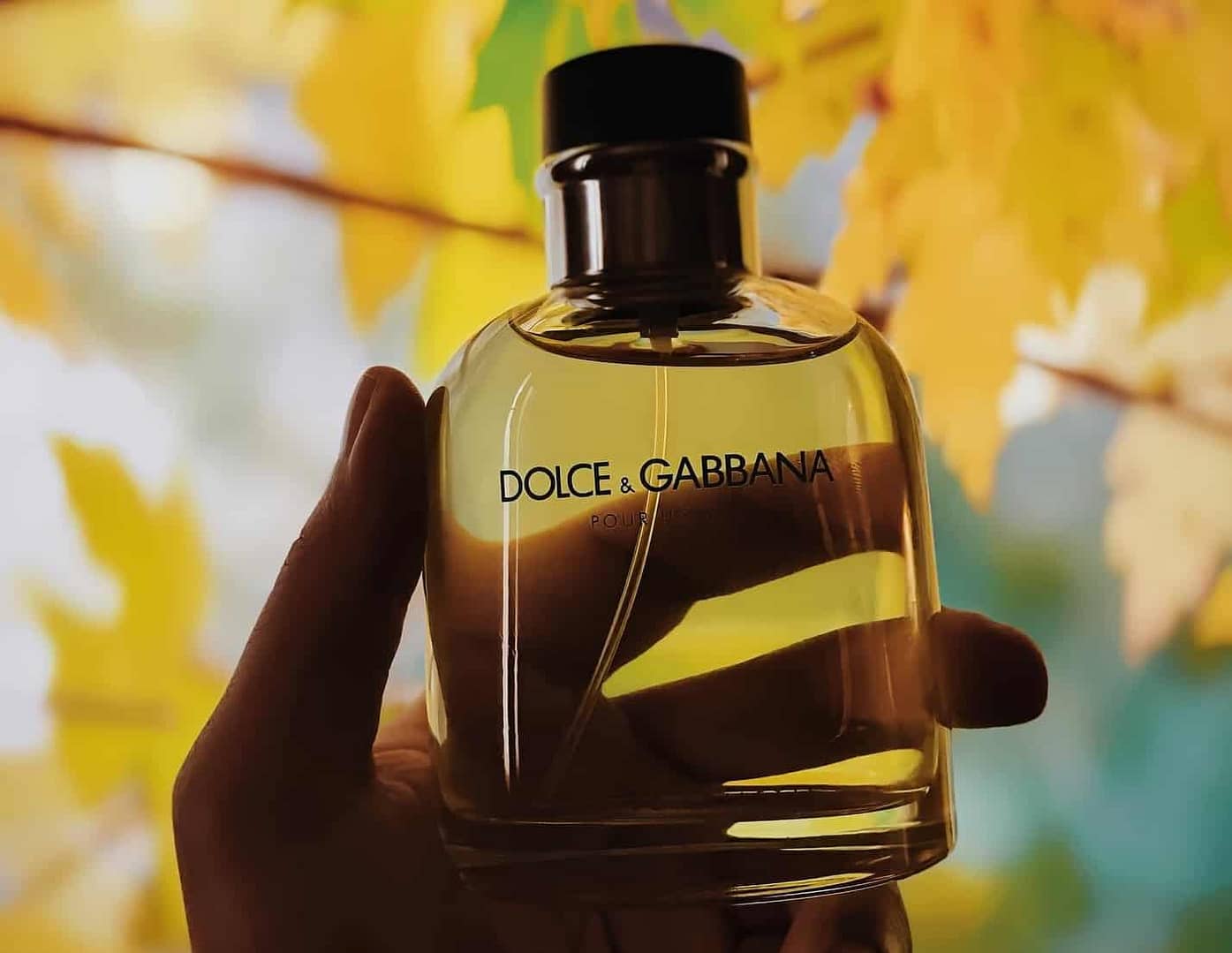 8-best-dolce-and-gabbana-colognes-and-perfume-for-men-2024-|-fashionbeans