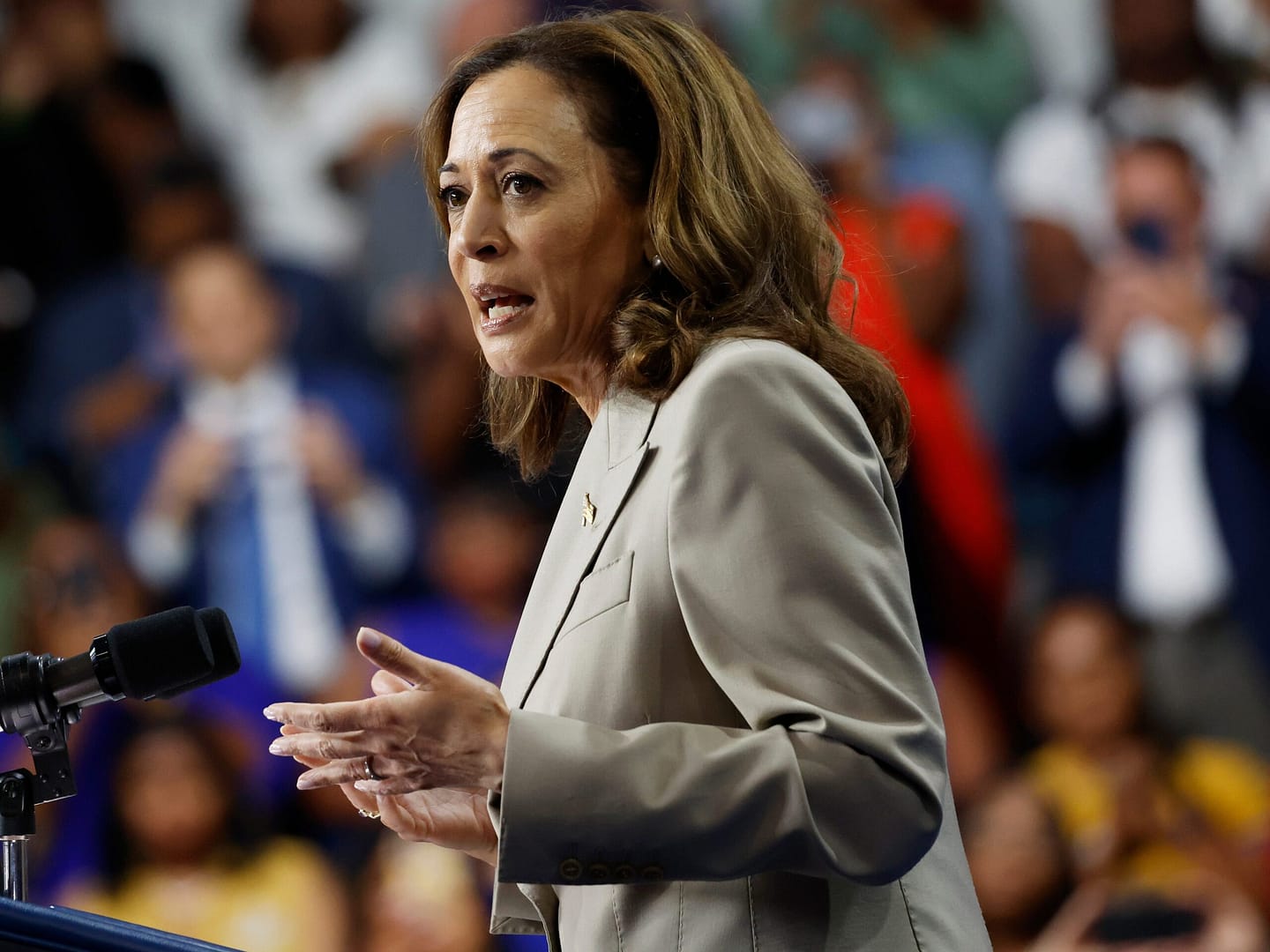 kamala-harris-has-made-major-gains-in-critical-sun-belt-swing-states,-leads-in-arizona-and-north-carolina:-poll