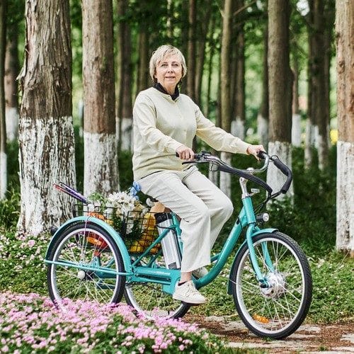 a-guide-to-purchasing-three-wheel-bikes-for-seniors-introduction