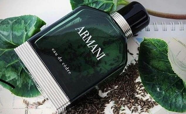 6-best-pine-colognes-for-men-–-fresh-and-woody-scents-for-2024-|-fashionbeans