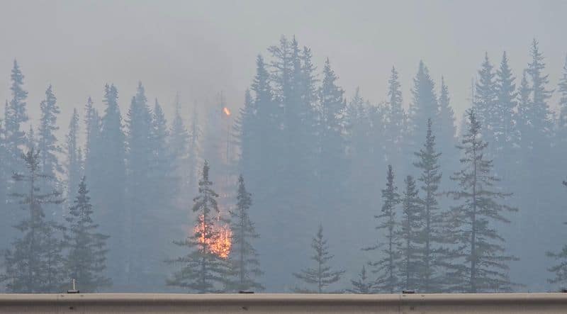 devastating-wildfire-burns-down-part-of-western-canadian-town-by-reuters