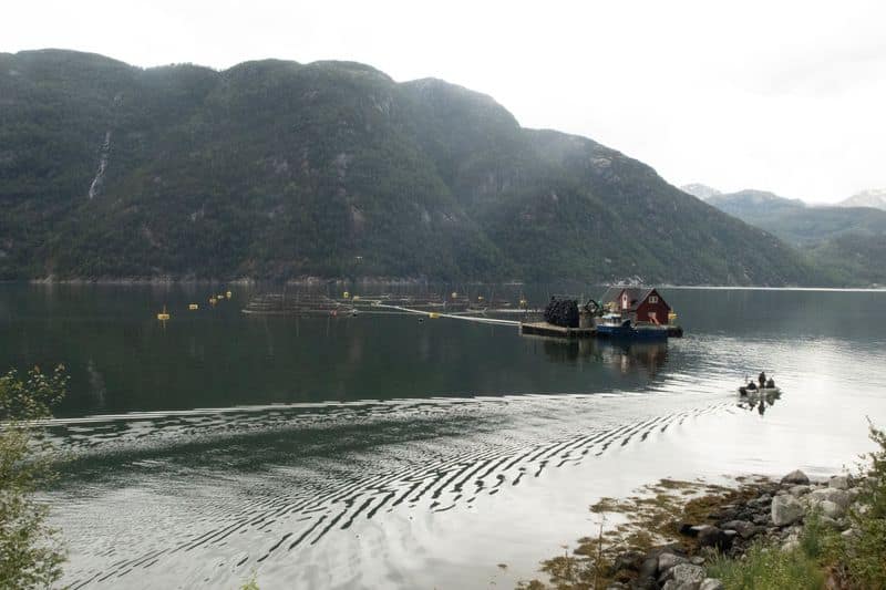 norway-salmon-farming-industry-grapples-with-harsh-climate-effects-by-reuters